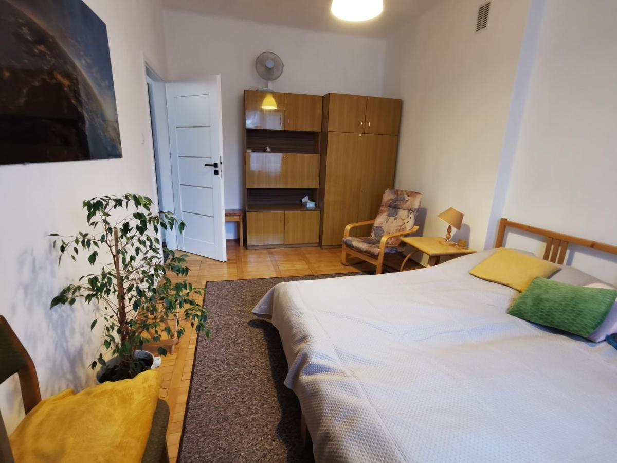 APARTAMENT New Vintage