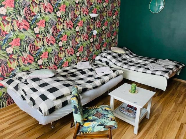 Apartament pod Złotą Małpą