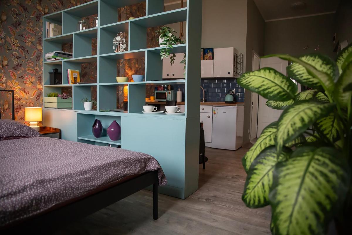 Apartament u Olechny 5