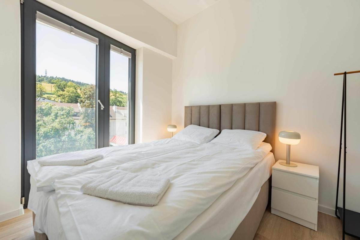 Apartamenty przy Deptaku w Wiśle - 500 m do Rynku - Dream Apart