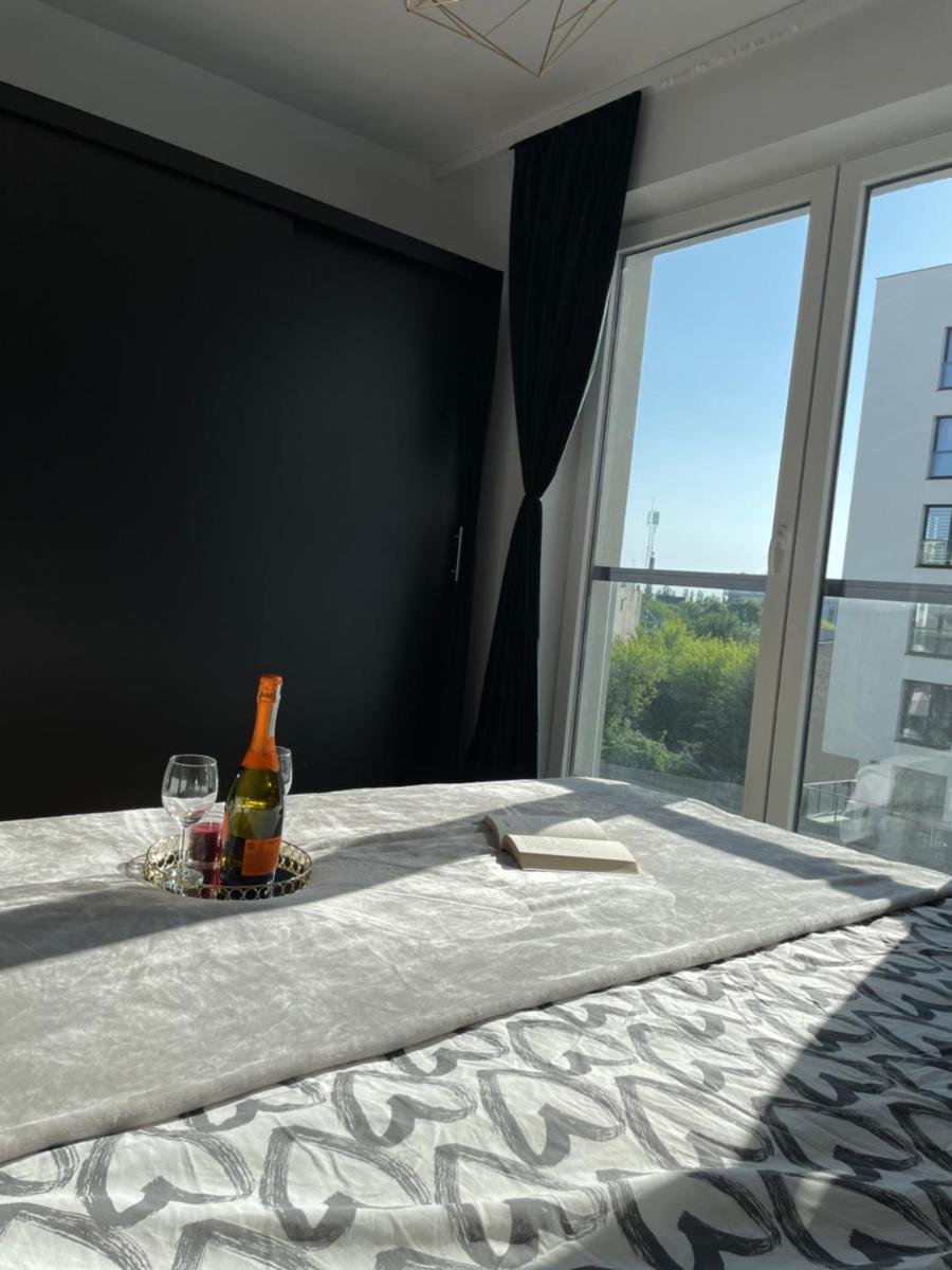 Apartment on Drewnowska Street Manufaktura