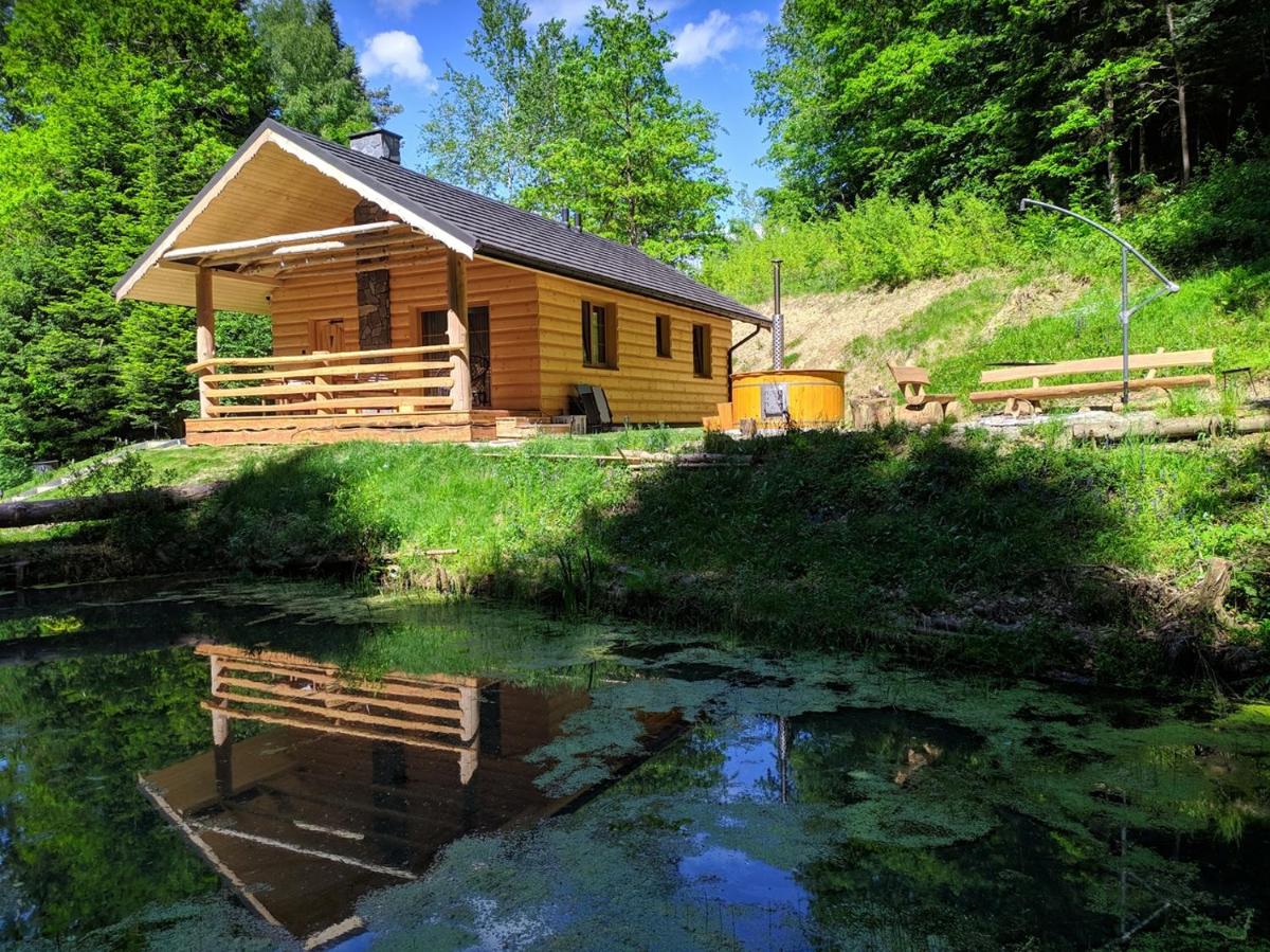 Bieszczady Domek Nad Stawem