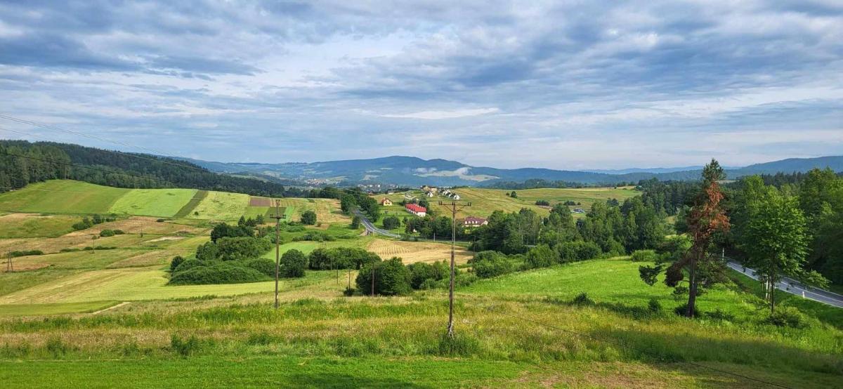 Bieszczadzki Horyzont Apartamenty