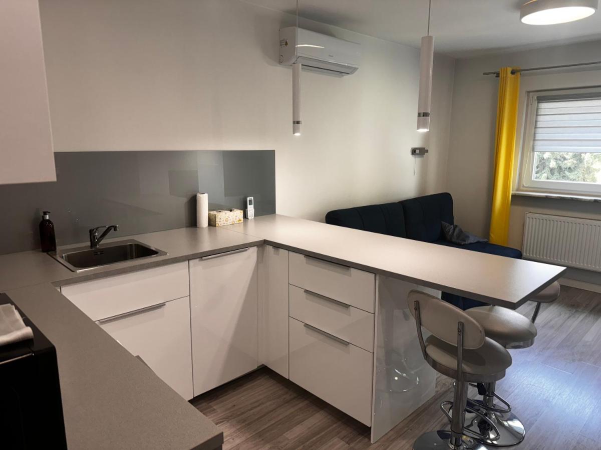 Comfortable Studio only 20 minutes from International Conference Center Katowice best place for WUF2022 EEC TNF OFF etc