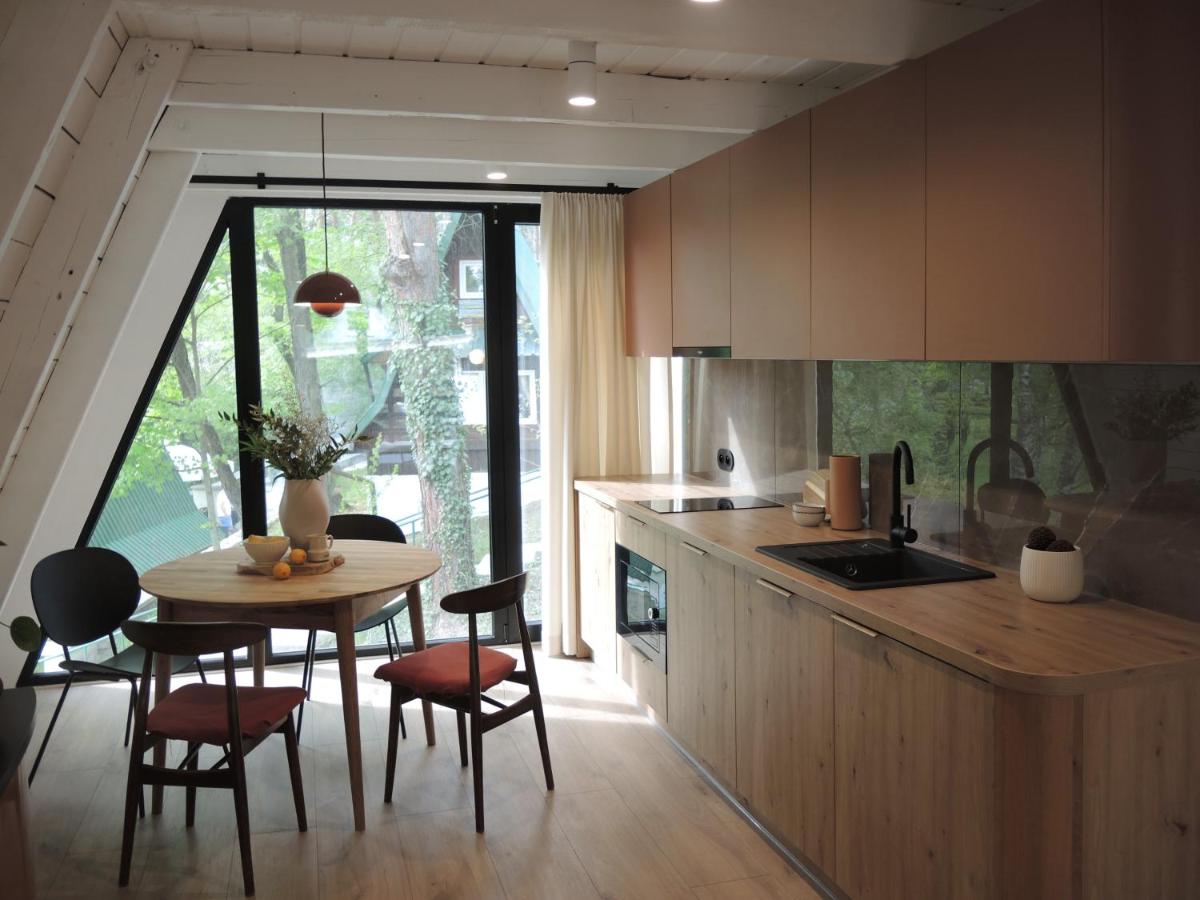 Domek Modern BRDA