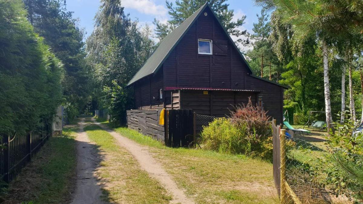 domki nad jeziorem, las, do 10 osób jezioro Wilczyńskie Budzisławskie - domek letniskowy osobno ogrodzony, ogrzewany mile widziane pieski, zwierzeta- wielkopolska, 62-550 Zygmuntowo gm Wilczyn