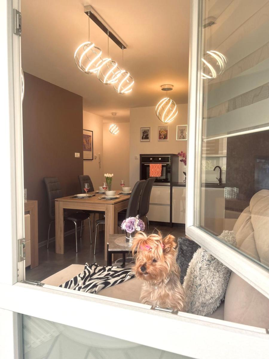 DowntownApartments ANDY air-conditioned, underground parking available
