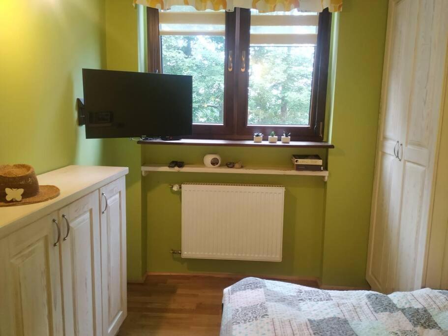 Klimatyczny apartament nad jeziorem