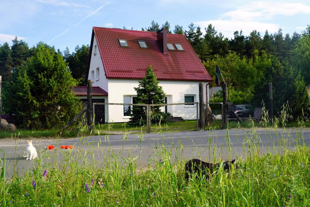 Leśna Kryjówka