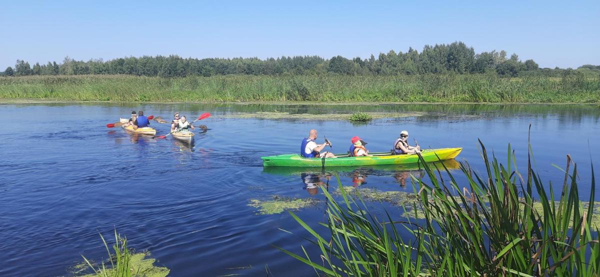 POLE NAMIOTOWE nad rzeką BIEBRZA w GONIĄDZU
