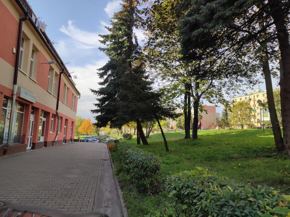 Szare Miraże