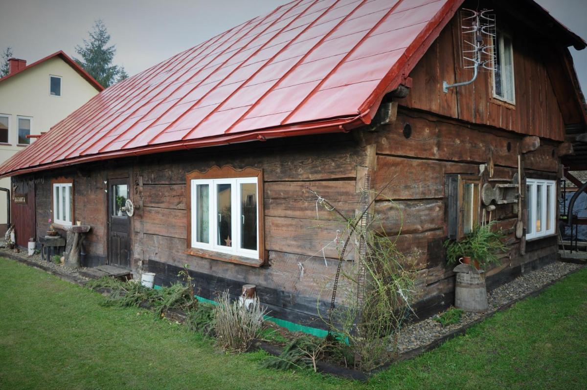 u bażanta