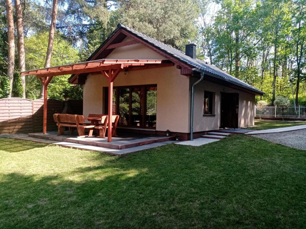 Urokliwy Domek nad Brzegiem Jeziora