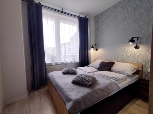 Adb Apartamenty City