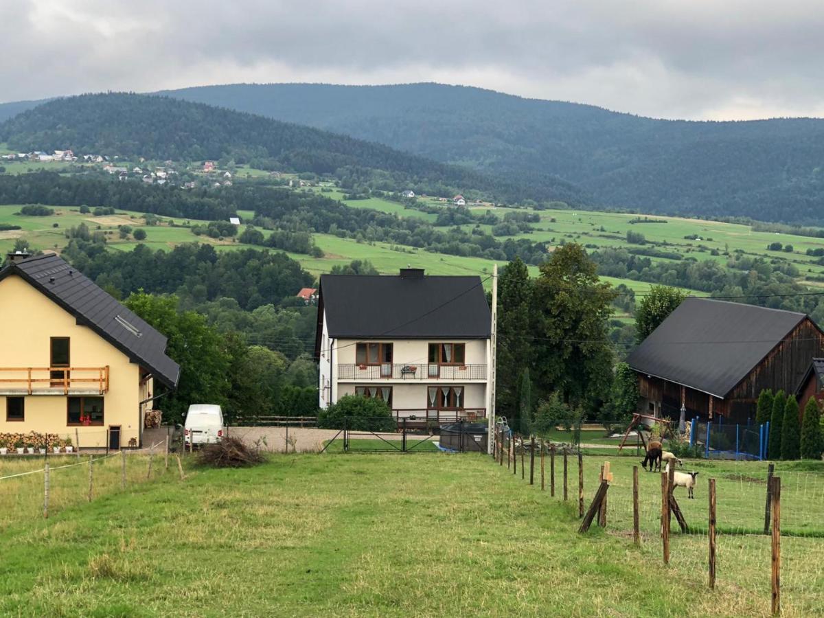 Agroturystyka Zagroda Miłkowskie