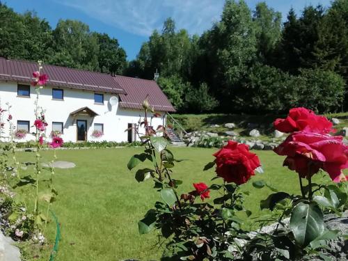 Agrowinnica