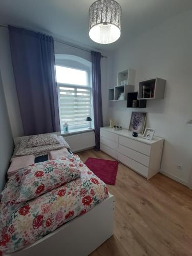 Apartament Sasanka