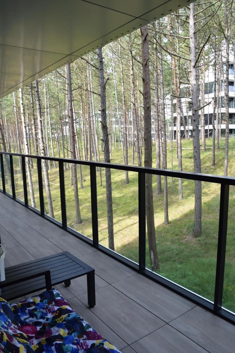 Apartament Sosnowy Shellter Rogowo