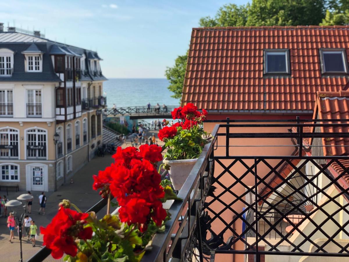 Apartamenty i pokoje Chaton Mielno