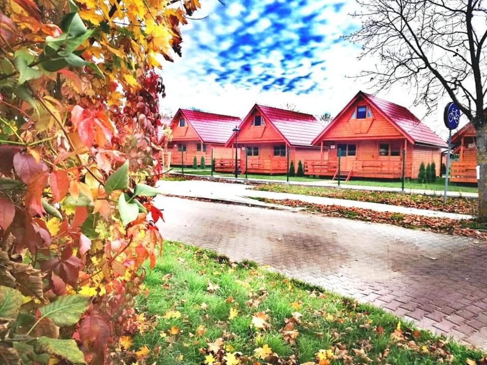 Dadaj Summer Camp - całoroczne domki Rukławki