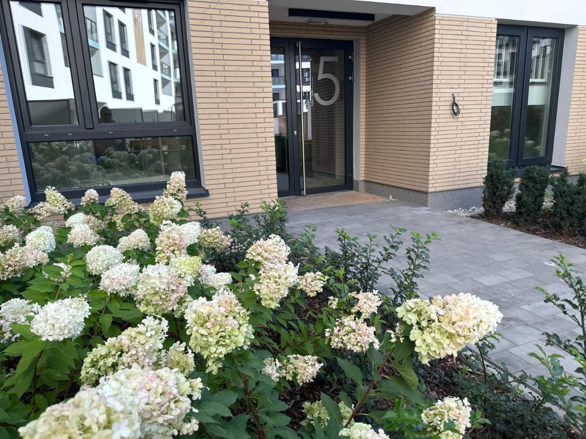 Green Studio Apartments