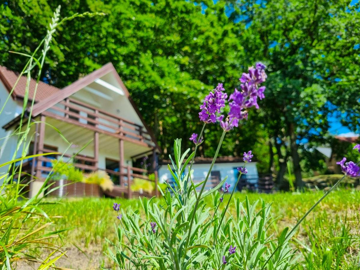 Kolonijna Park