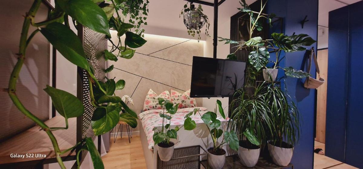 Magic House Apartament Proszowska 58 II