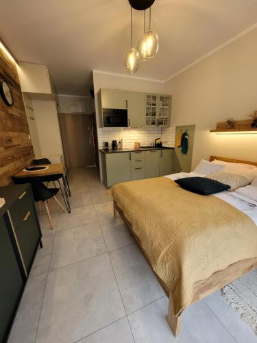 Widok na las, ski lodge studio