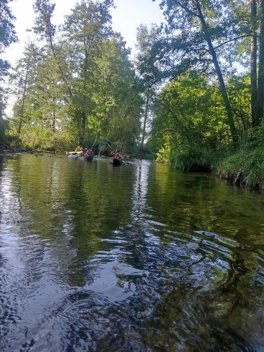 Oaza nad Krutynią