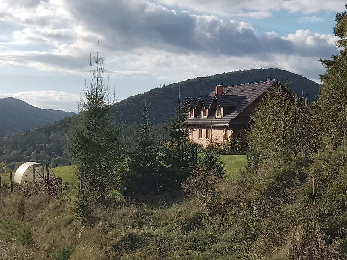 ORLIK - pokoje gościnne
