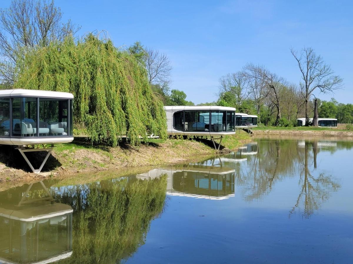 Glamping & Prywatna Balia & Zabytkowy Park Pałac Wieniawskich