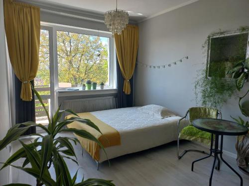 Duży dwuosobowy pokój blisko centrum z balkonem