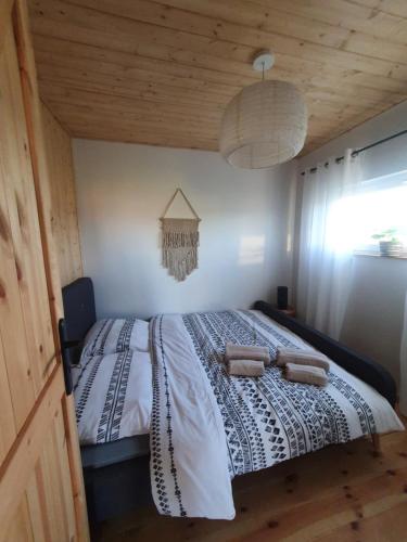 Domki letniskowe Leśne Spa Borsk nad Jeziorem Wdzydzkim BASEN SAUNA BALIA