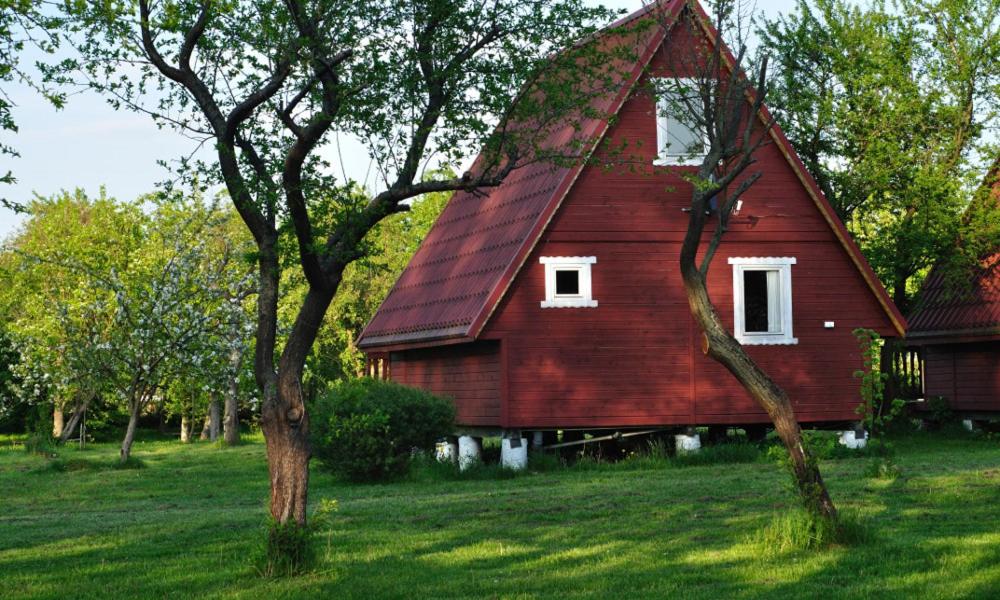Rodzinne Wczasy pod Gruszą