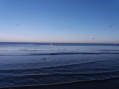 Sound Of The Sea