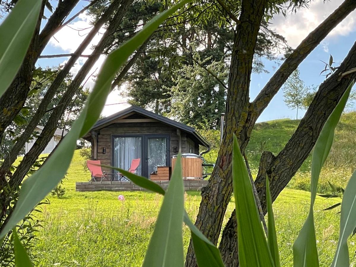 Szarejkowy GLAMP