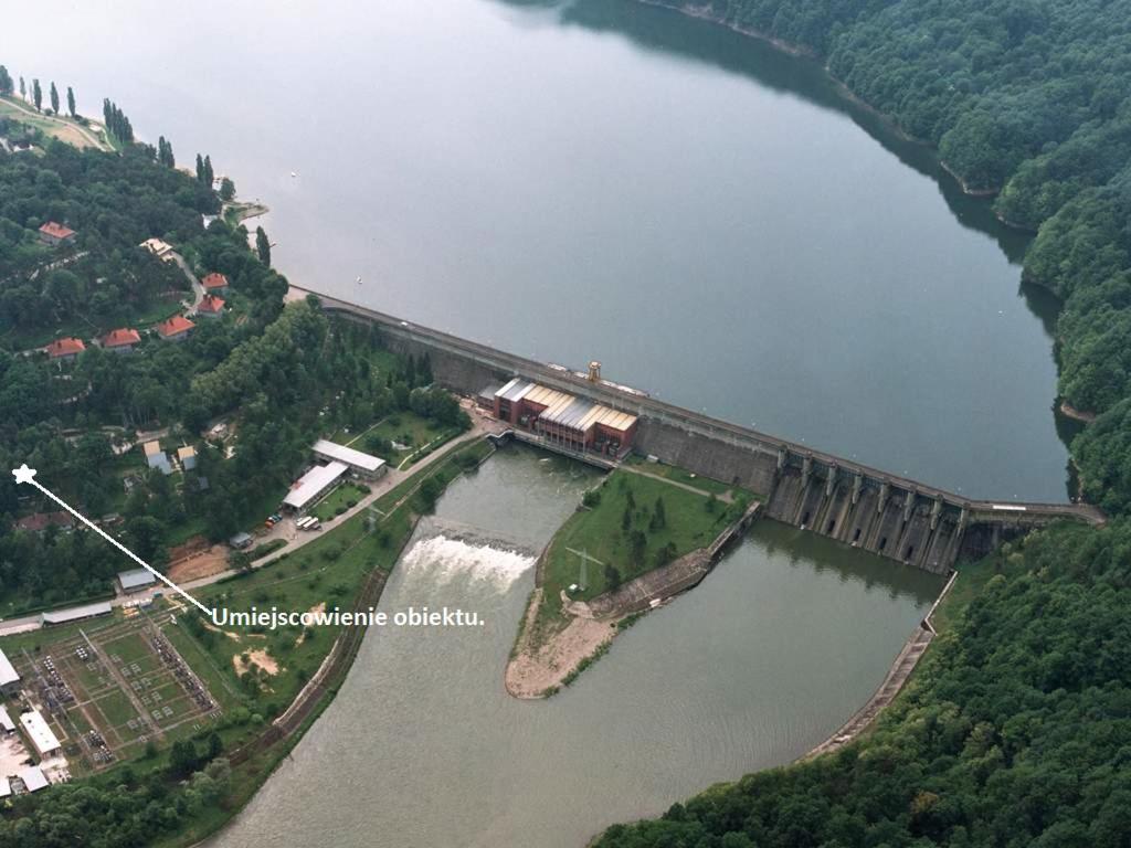 Viking Rożnów