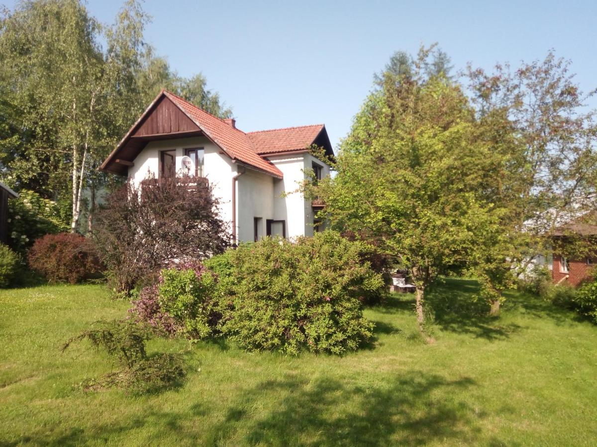 Wolscy Blachnickiego 3